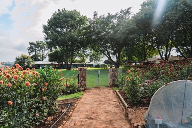 figtree_flowergarden3
