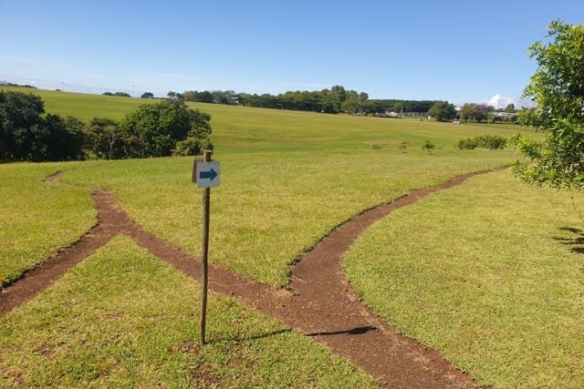 figtree_trails