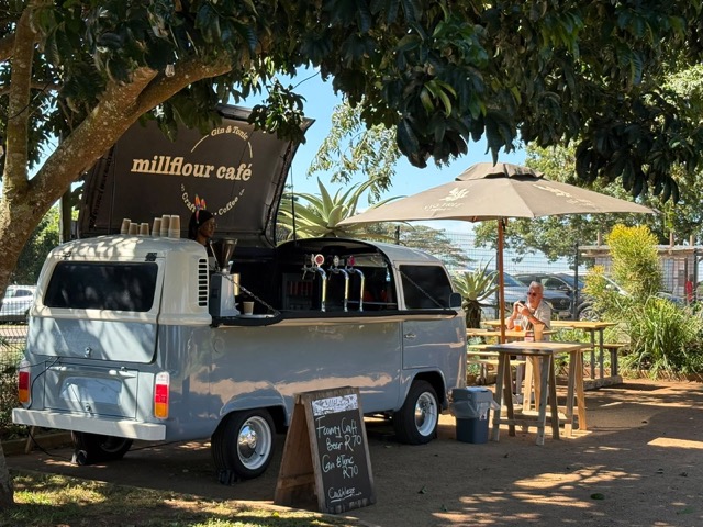 figtree ginbar1