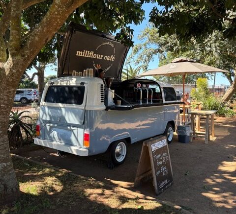 figtree ginbar1